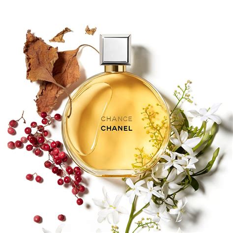 chanel perfume scent descriptions|chanel perfume direct.